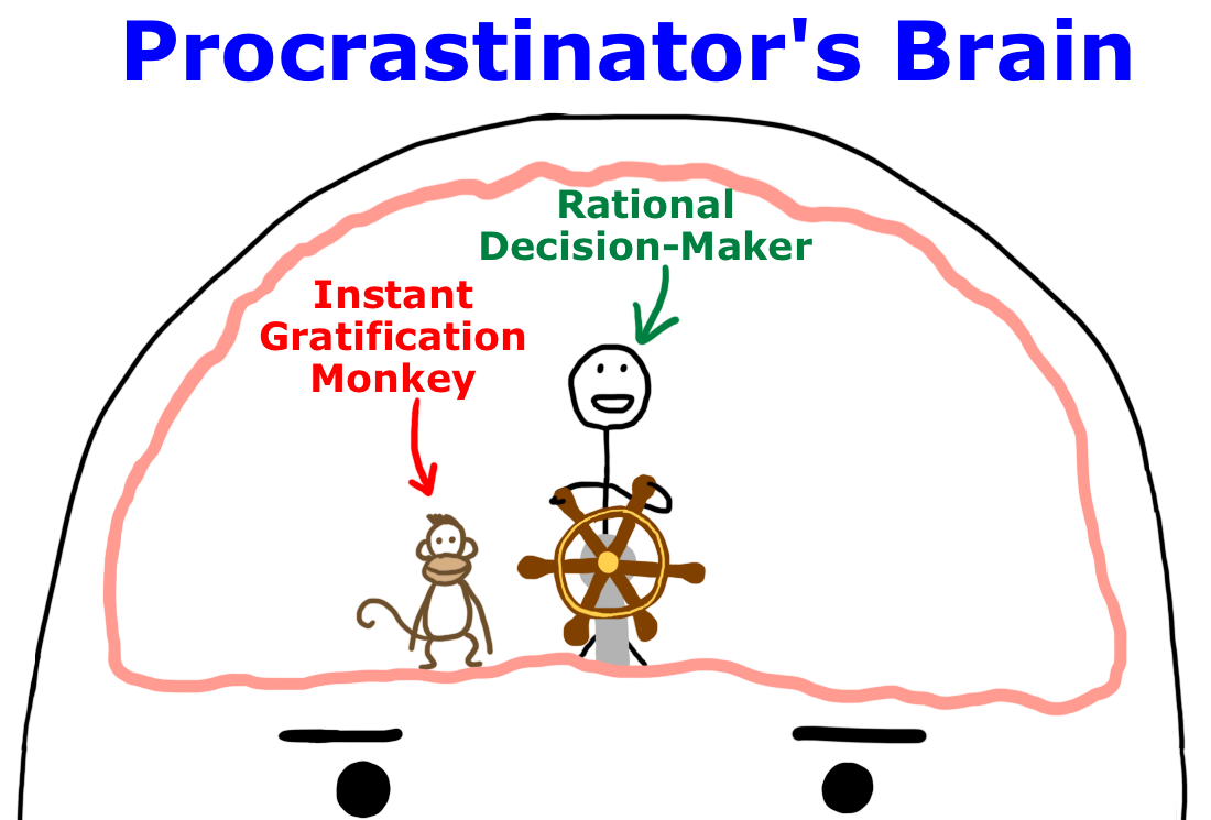 The Procrastination Matrix — Wait But Why