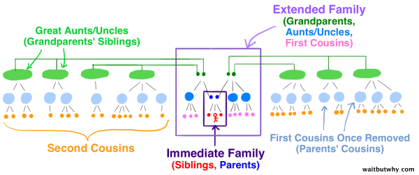 visual diagram explaining second cousins