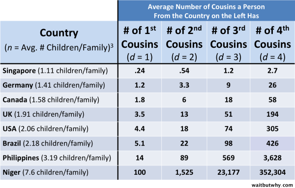 average number of cousins a person has by country, Singapore .24 first cousins and Niger 100 cousins