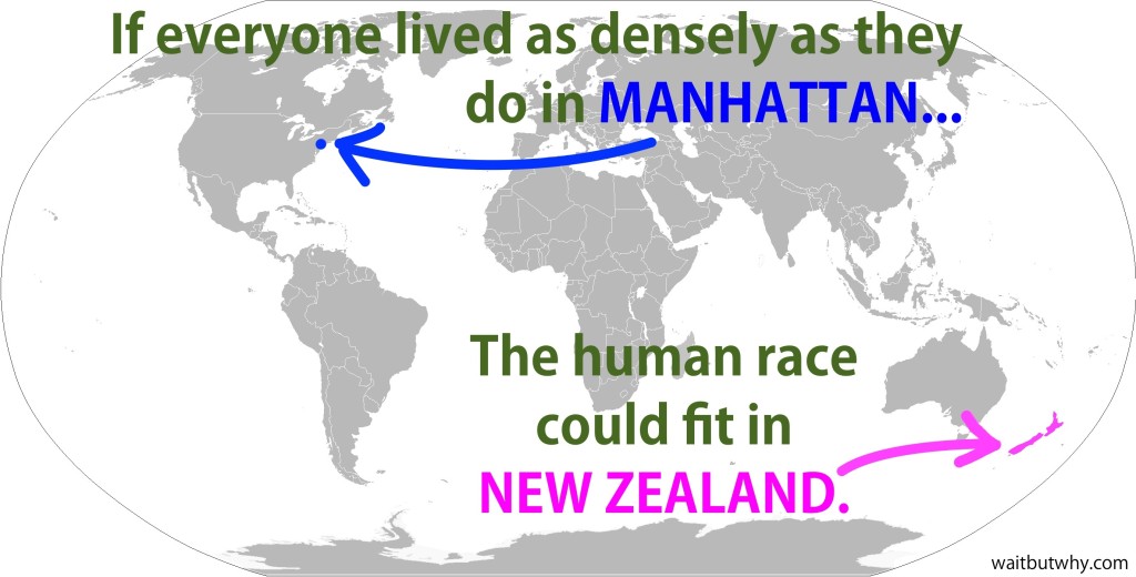 Human Race in New Zealand