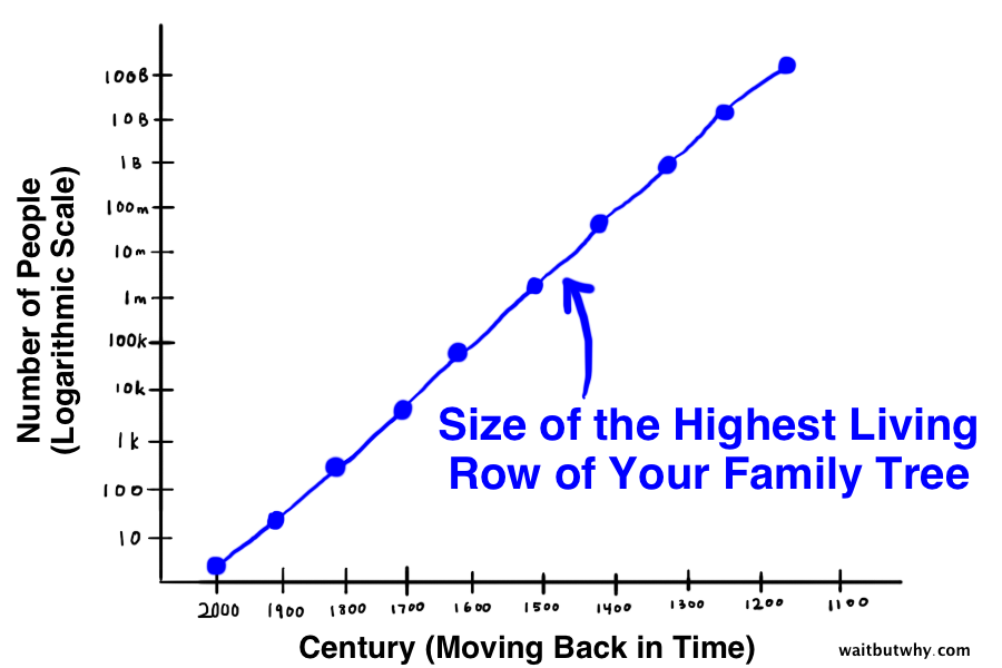 line representing the size of the highest living row of your family tree as you go back in time