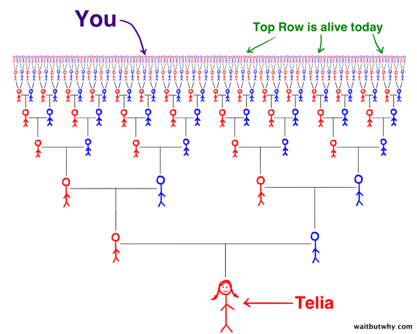 Telia Ancestor Cone showing you in the far top row with hundreds of other people alive today
