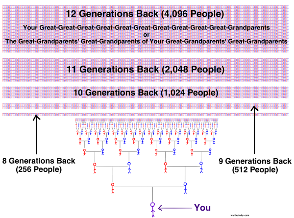 Huge Family Tree from you to 12 generations back where there are 4,096 people