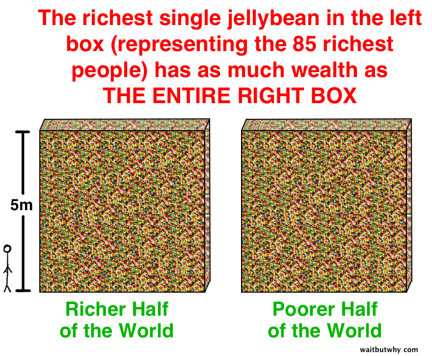Richest jellybean