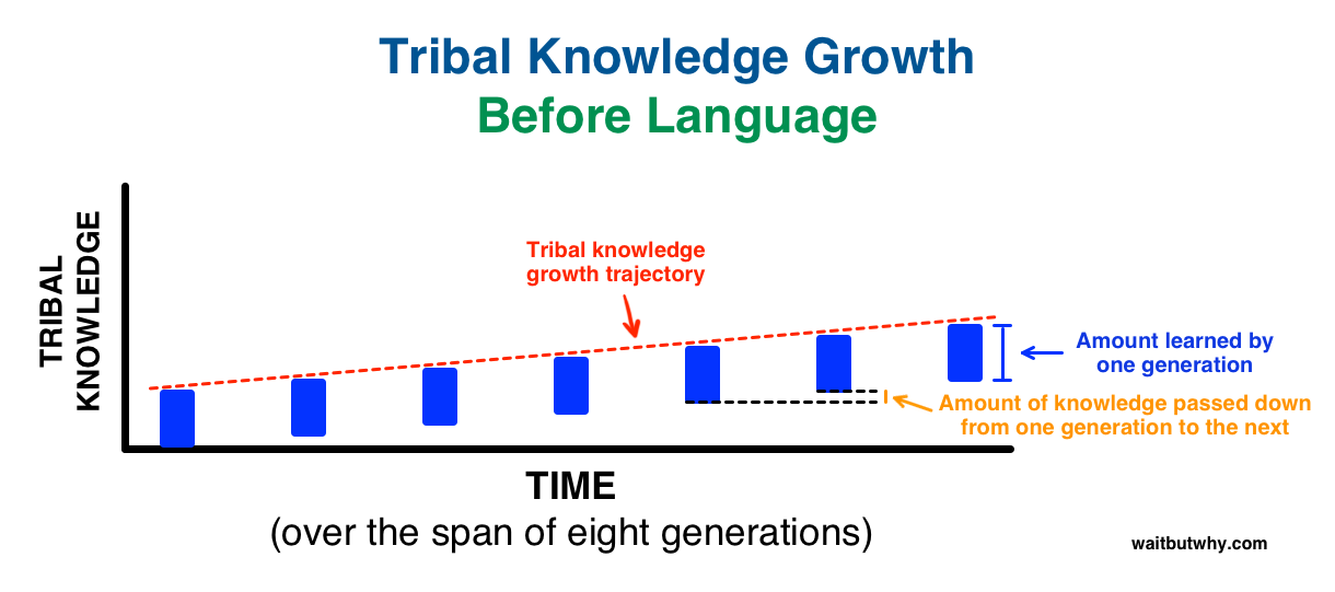 minimal tribal knowledge growth before language